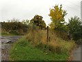 SJ8245 : Silverdale: footpath off Park Road by Jonathan Hutchins