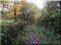 SJ8245 : Silverdale: footpath skirting allotments by Jonathan Hutchins