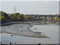 NZ2882 : Blyth estuary by Oliver Dixon