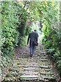 ST9151 : Looking up Church Steps, Bratton by Penny Mayes