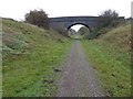 SK8371 : Bridge ahead on NCN647 by Steve  Fareham