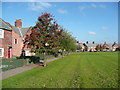 SK5274 : Trees on the edge of the green, Creswell Model Village by Humphrey Bolton