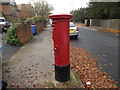 TM1645 : Park Road George V Postbox by Geographer