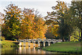 TQ0959 : Chinese Bridge, Painshill Park by Ian Capper