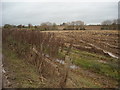 SU0583 : View from bridleway towards Thunder Brook by Vieve Forward