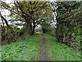 TQ1689 : The trackbed of the former Harrow & Stanmore Railway by Marathon