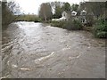 SE2336 : River Aire at Newlay Bridge, nearly flooding by Stephen Craven