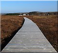 NC8842 : Boardwalk, RSPB Forsinard, Sutherland by Claire Pegrum