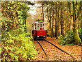 SD8304 : Replica Vanguard Tram at Heaton Park by David Dixon