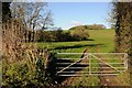 SP0605 : Gate and field entrance by Philip Halling