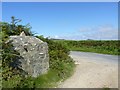 SM7426 : Gatepost near Croes-Phillip, near St David's by Becky Williamson