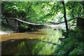 NY7963 : Footbridge in Allen Banks by Philip Halling