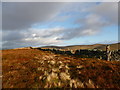 NS9105 : Drystane dyke on Durisdeer Hill by Alan O'Dowd