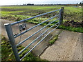 TL3870 : Five barred gate with five padlocks by Richard Humphrey