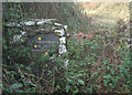 SS8677 : Overgrown stone sign and stile by Candleston by eswales