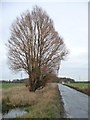 SE6064 : Road heading north-east towards St John's Well by Christine Johnstone