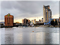 SJ8197 : Ontario Basin, Salford Quays by David Dixon