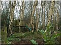 SJ7948 : Halmer End: treehouse on private land near Bateswood Country Park by Jonathan Hutchins