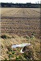 SK5435 : Stubble field with carrier bag by David Lally