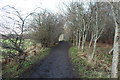 NS3342 : Countryside Walk, Eglinton Country Park by Billy McCrorie