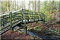 NX0980 : Footbridge over the Smyrton Burn by Billy McCrorie