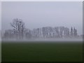 SO8547 : January mist by Philip Halling