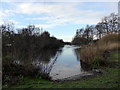 TQ2979 : Lake in St. James' Park by PAUL FARMER