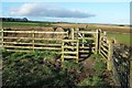 SE5283 : Gate on Cleveland Way by Derek Harper