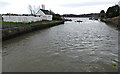 NT1382 : The Harbour at Inverkeithing by Thomas Nugent