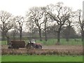 SJ7965 : Muckspreading at Hare Lane farm by Stephen Craven