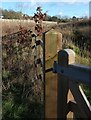 SX9066 : Fence, Nightingale Park by Derek Harper