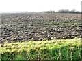 SE6023 : Newly ploughed field, south of Gowdall Road by Christine Johnstone