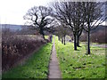 SK4921 : Concrete footway by Shepshed Road by Ian Calderwood