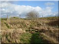 SJ7158 : Footbridge on footpath east of Crewe by Jonathan Hutchins