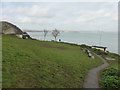 SX9256 : Battery Gardens - Brixham by Chris Allen