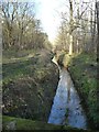 SE5533 : Main Drain, Bishop Wood, looking upstream by Christine Johnstone