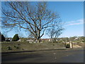 TQ5175 : Looking across to the churchyard of St Paulinus, Crayford by Marathon