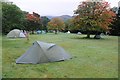 NY2805 : Great Langdale Campsite by Philip Halling