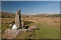 SN1330 : Bluestone Pillar, Preseli Hills by Becky Williamson