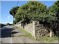 NZ1452 : Garden wall at Pontop High Stables by Robert Graham