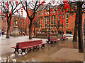 SJ8398 : Red Lanterns in Albert Square by David Dixon