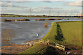 SK8171 : Trent floodbank by Richard Croft