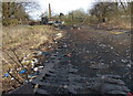 SK5906 : Destroyed boardwalk near Belgrave Lock no 44 by Mat Fascione