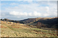 NY4914 : Deer fence heading towards valley of Naddle Beck by Trevor Littlewood