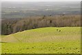 SO9738 : People on Conderton Hillfort by Philip Halling