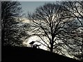 SO8554 : Silhouetted cannon and trees by Philip Halling