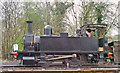 TQ4023 : Ex-LSWR 0-4-0T No. 96 at Sheffield Park, Bluebell Railway, 1994 by Ben Brooksbank