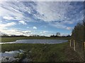 SJ7852 : Audley: flooded field at Parkfields Farm by Jonathan Hutchins