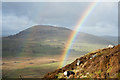 NY4022 : Sheep with rainbows on north-west ridge of Gowbarrow Fell by Trevor Littlewood