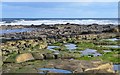 NZ3092 : Rocky coast at Snab Point by Jim Barton